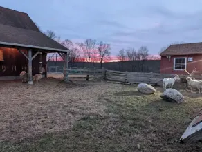 Hanover Vineyards - Image 3