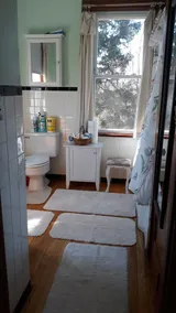 RIVERFRONT: HITS, Bard, Woodstock, Kingston from spacious enchanting 3 BR house - Image 4