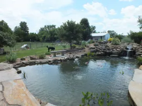Montrose Farms Alpaca Ranch - Image 5