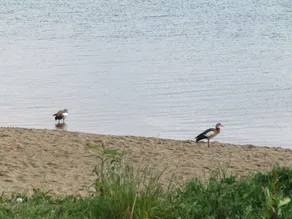 Pure relaxation at the Hainer See near Leipzig - Image 4