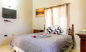 St Mary Mins Away From Ocho Rios 2 bed Ocean View Villa - Image 4