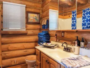 Luxury log cabin w/ access to Ford Lake! Sleep 14 - Image 2