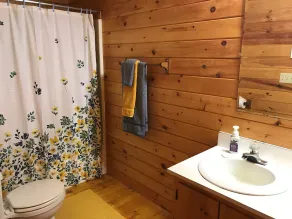 Cozy Cabin with Fireplace, 2 Bedrooms & 2 Queen Size Couch Beds! - Image 2