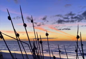Absolute Beachfront - simply enjoy  - Image 5