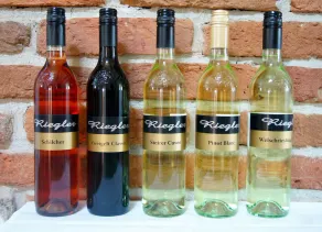 UM HÓSPEDE NO VIDRO DA REGIÃO TÉRMICA E DO VINHO - Image 2