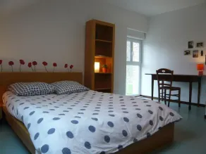 Geräumige Unterkunft in Touraine, 8 Pers, privater Garten, Ruhe - Image 5