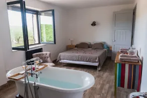 RENTAL OF A MAS WITH POOL IN A VINEYARD IN FIELD CAMARGUE - Image 4