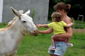 Ideal para niños: espacios abiertos, animales para abrazar, actividades para todos. - Image 4