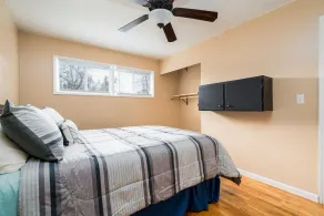 Comfortable Pet friendly - Image 5