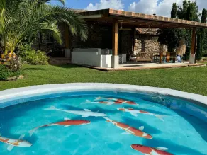 Finca Aprisco de Candeleda - Image 3