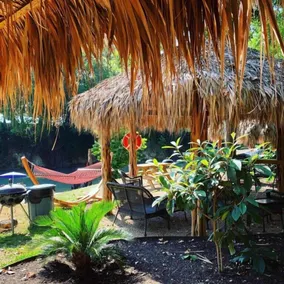 Beautiful Cabin on the San Marcos River at Son's Blue River Camp! - L1 - Image 5