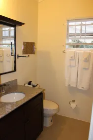 Zade's Vacation Home with Private pool, Ocho Rios - Image 3