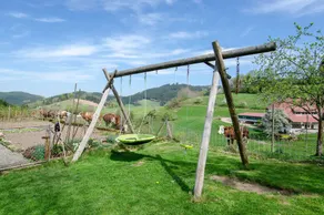 Appartamento 'Ferienwohnung Landwassereckblick' con vista sulle montagne, giardino in comune e Wi-Fi - Image 2