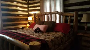 Cabine suisse du Vieux Monde nichée dans les bois - Image 3
