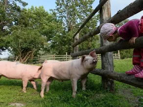 Appartamento accogliente e familiare con giardino, barbecue e terrazza | Accanto allo sci | Ammette animali domestici - Image 2