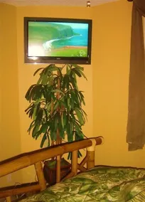 KLIK HER FOR BEDSTE OCEANFRONT VIEW i KONA, HI - Image 2