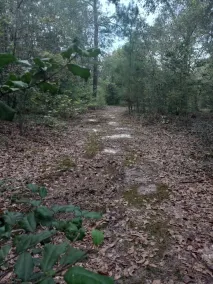 Private Nature Oriented Campground - Image 2