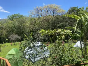 We’re located at Finca Indigo Monteverde, local art and history - Image 5