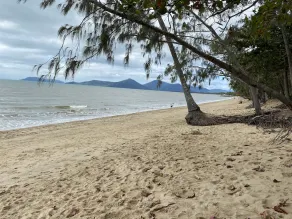 Stylish guesthouse short bush walk to beautiful swim beach. - Image 3