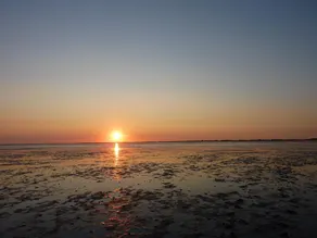 Garden idyll at the Wadden Sea National Park - Image 2