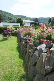 **** Appartamento comfort Piccola Kylltal a Oberstadtfeld / Eifel, terrazza sud di 30 mq - Image 5