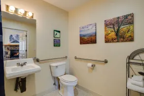 White Rock Cabin--1BR, ADA, kitchenette, fireplace - Image 2