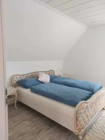 In the forest in a minute. Cozy vacation apartment on the outskirts of the village. - Image 3
