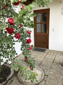 Bello, silenzioso appartamento di 2 camere da letto con ampio terrazzo e vista panoramica - Image 5