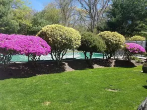 Relaxing private poolside retreat 5 minutes from the beach! - Image 3