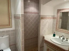 Villa domaine des tuilières with swimming pool and jacuzzi - Image 2