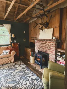 Cozy lakeside cabin! Rustic retreat w/ private dock- Pet Friendly! - Image 5