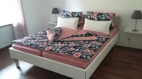Apartamento Anita Fischbach cerca de Dahn - Image 5