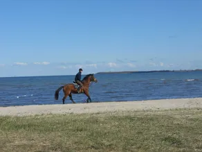 Escape Near Baltic Coast - Image 5