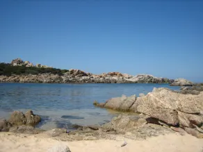 Res OLIVERAIE \"EMMA T3 / 2\". I skyggen af oliventræerne få skridt fra havet - Image 4