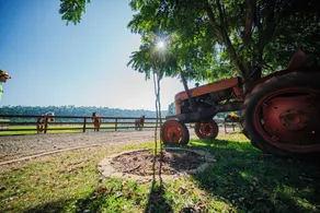 Sitio Castelinho Hotel Fazenda - Image 5
