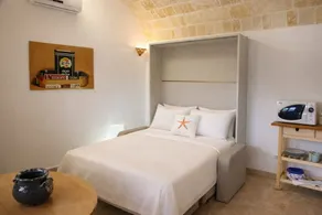 Casina Matilde is a charming retreat carved into an ancient tuff quarry, with walls that tell stories from distant times. This gem, featuring its characteristic barrel vaults, offers a bright furnished veranda for moments of pure stillness, a spacious ro - Image 2