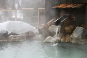 Shirafune Grand Hotel - Image 3