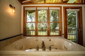 Luxury Riverside Estate - 3BR Home or 1BR Cottage or BOTH - Sleeps 14 - Swim, fish, relax, refresh - Image 2