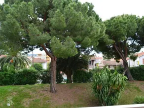 Appartement Golfe Juan, 2 pieces, 4 personnes - FR-1-252-139 - Image 5
