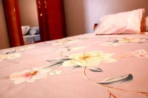 Quiet and family friendly apartment ideal for family with children and groups - Image 5
