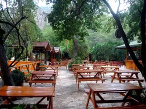 Türkmen Ağaç Evleri - Image 5