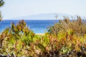 Venus Myconian Residences - Image 3