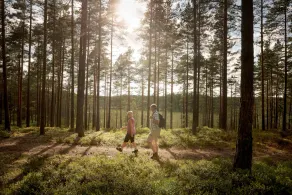 First Camp Hökensås-Tidaholm - Image 2