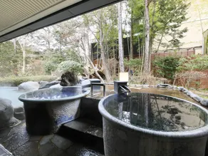 Hakone Hisui - Image 5