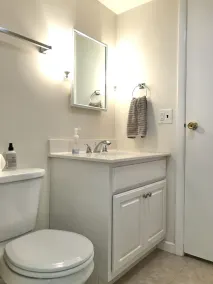 Waterfront Cottage on Lake Manitou - Sleeps 10 - Image 3