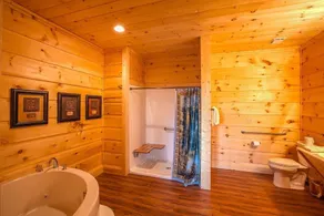 Gatlinburg Mansion Cabin - Image 2