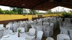 FARM IN BOTUCATU - Image 4