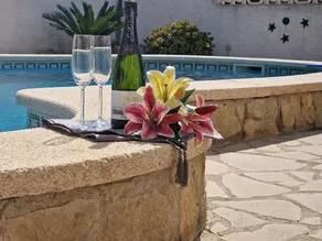 Riumar "Marianna", 310m to beach, private pool, On-Site-Service, dog beach - Image 2