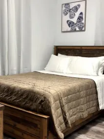 Newly 5 Star Rental - Image 4