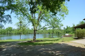 Tiny house living with Private Lake. (Pet Friendly!) - Image 4